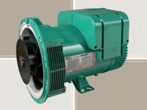  Alternador Leroy Somer 